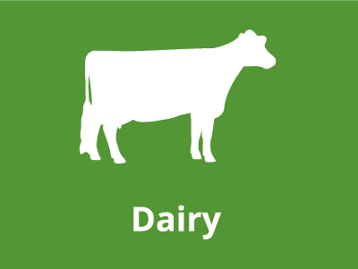 Dairy - Dairygold