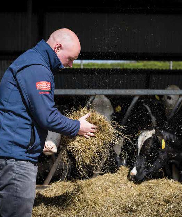 The importance of knowing your silage quality